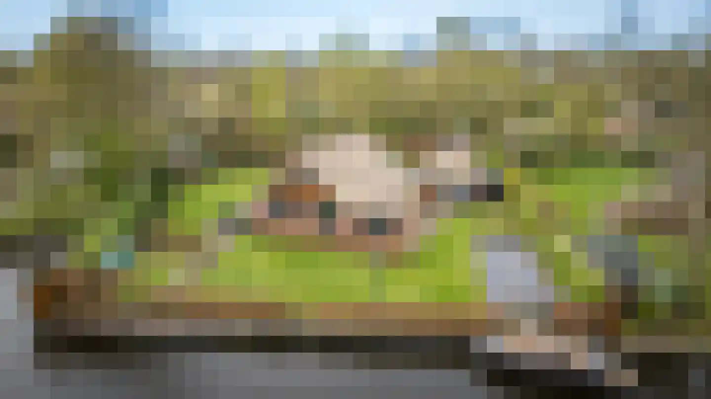 Hagenbroekweg 6 Ossenzijl thumbnail 62