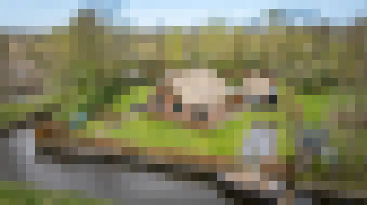 Hagenbroekweg 6 Ossenzijl thumbnail 63