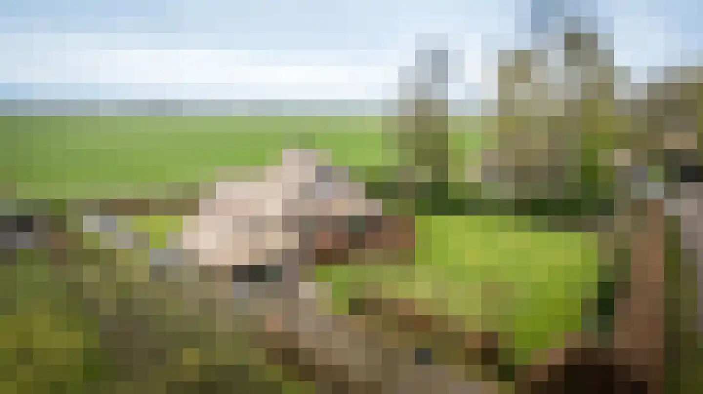 Hagenbroekweg 6 Ossenzijl thumbnail 64