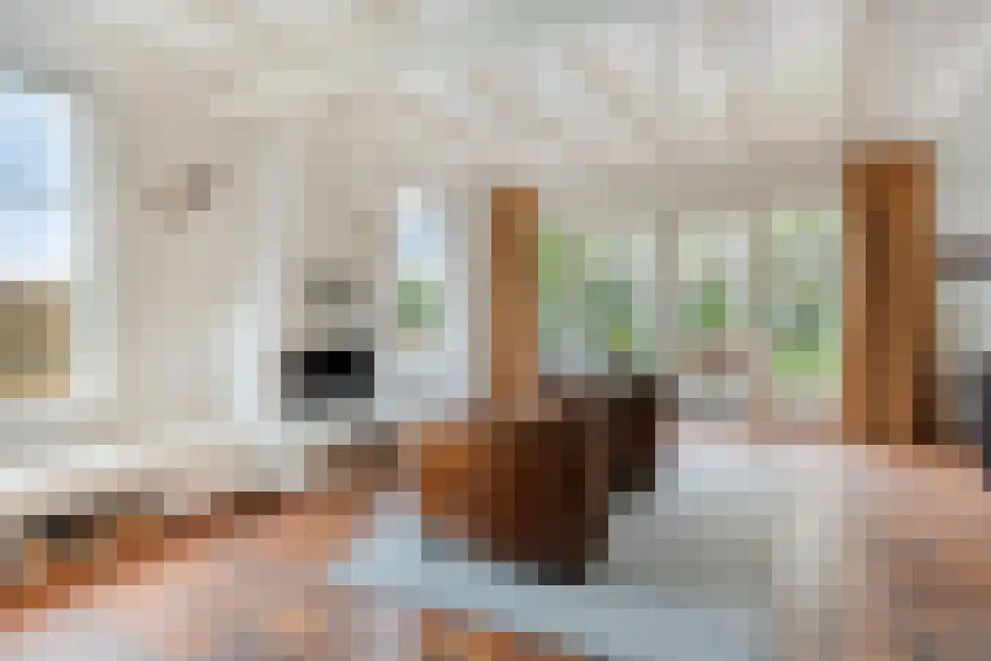 Hagenbroekweg 6 Ossenzijl thumbnail 7