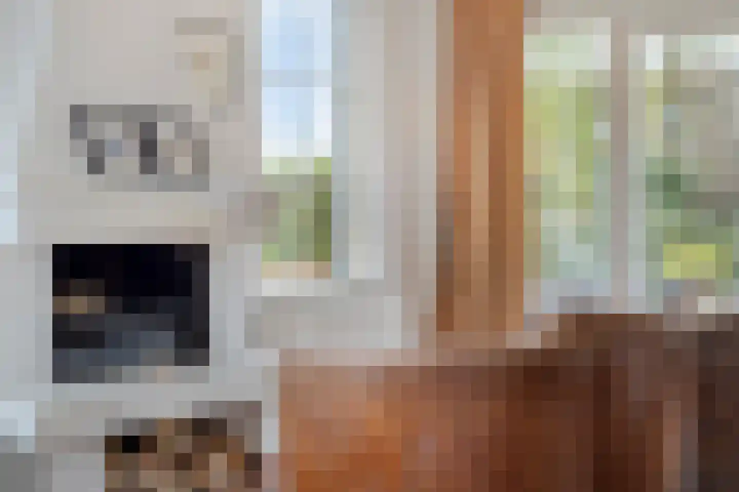 Hagenbroekweg 6 Ossenzijl thumbnail 8