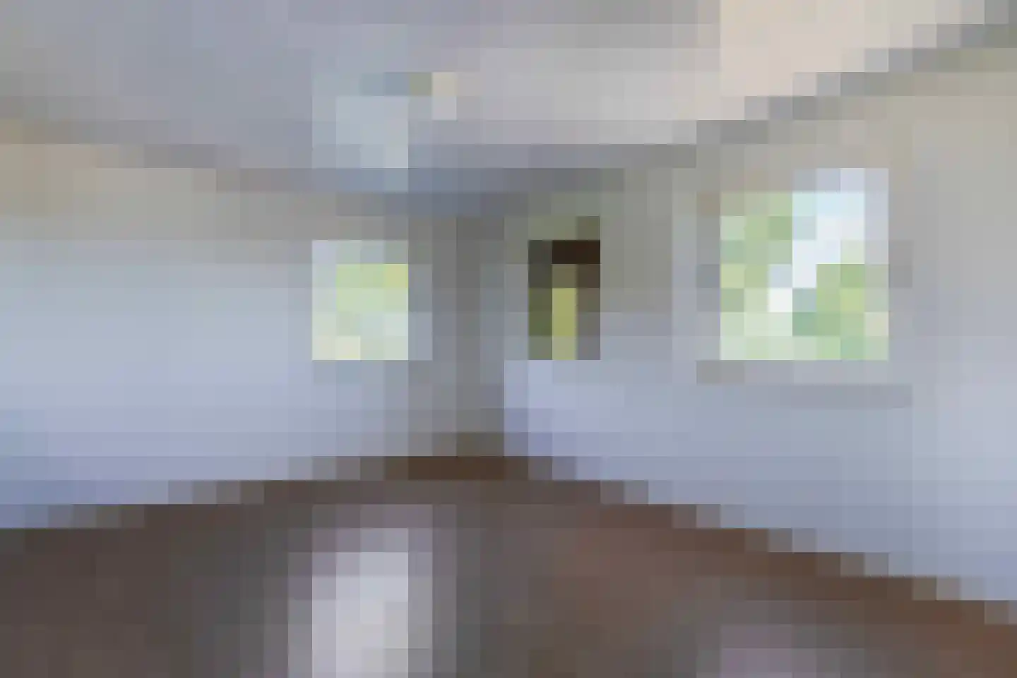Hagendoornweg 4 Moorveld thumbnail 30