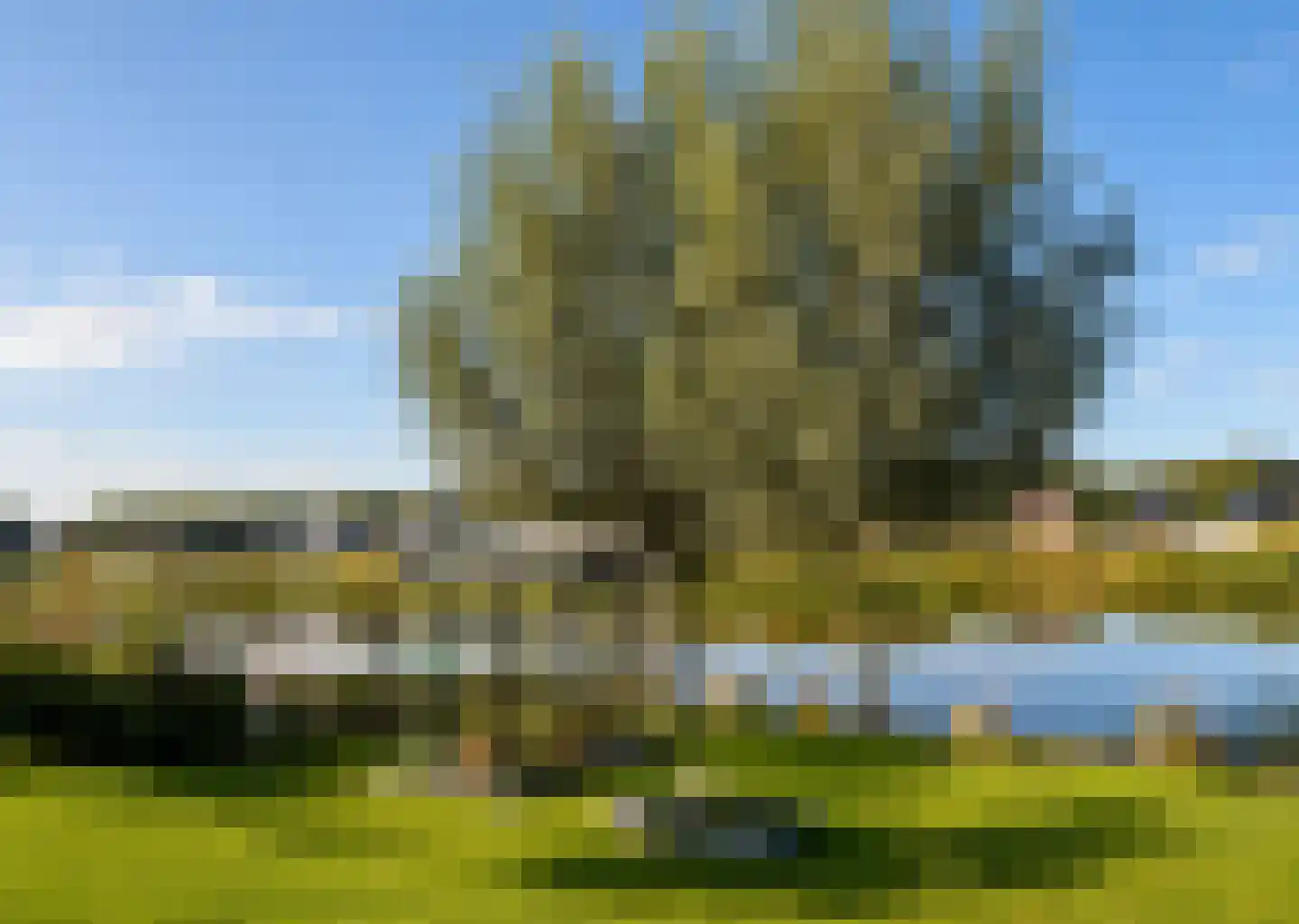 Hagenduin 16 Lelystad thumbnail 31