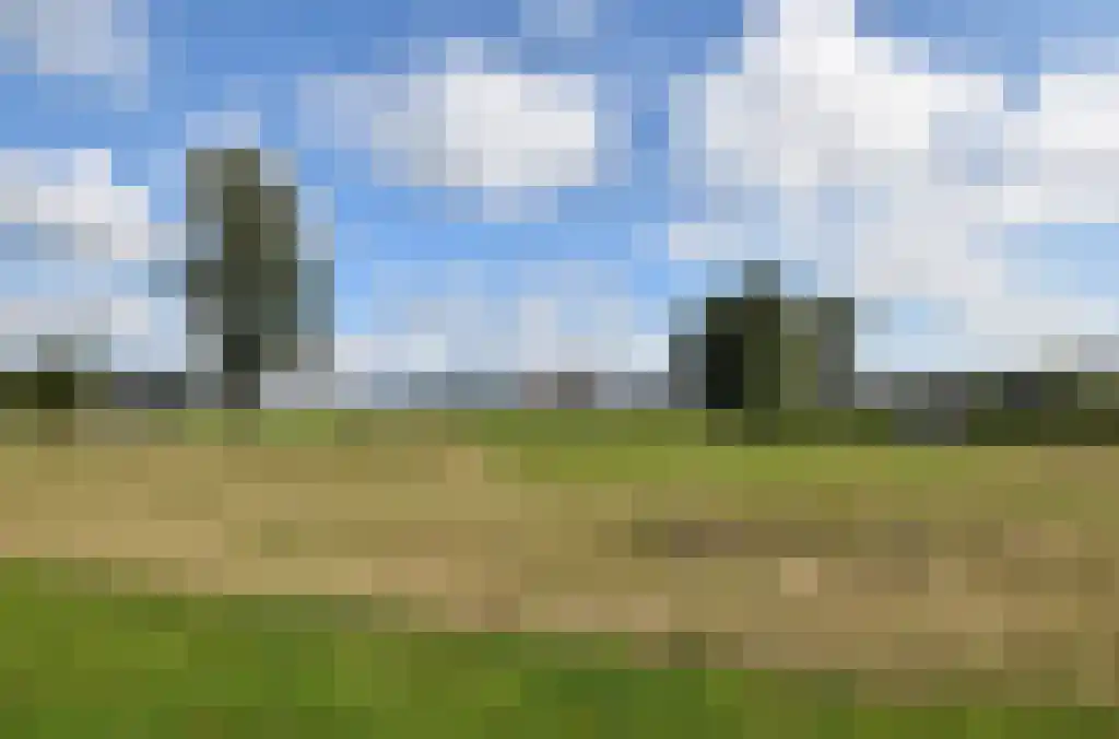 Hagenduin 16 Lelystad thumbnail 46