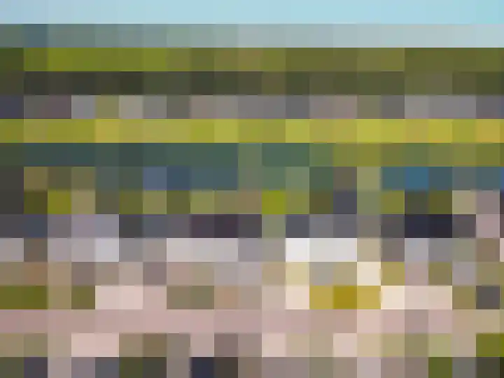 Hagenduin 26 Lelystad thumbnail 9