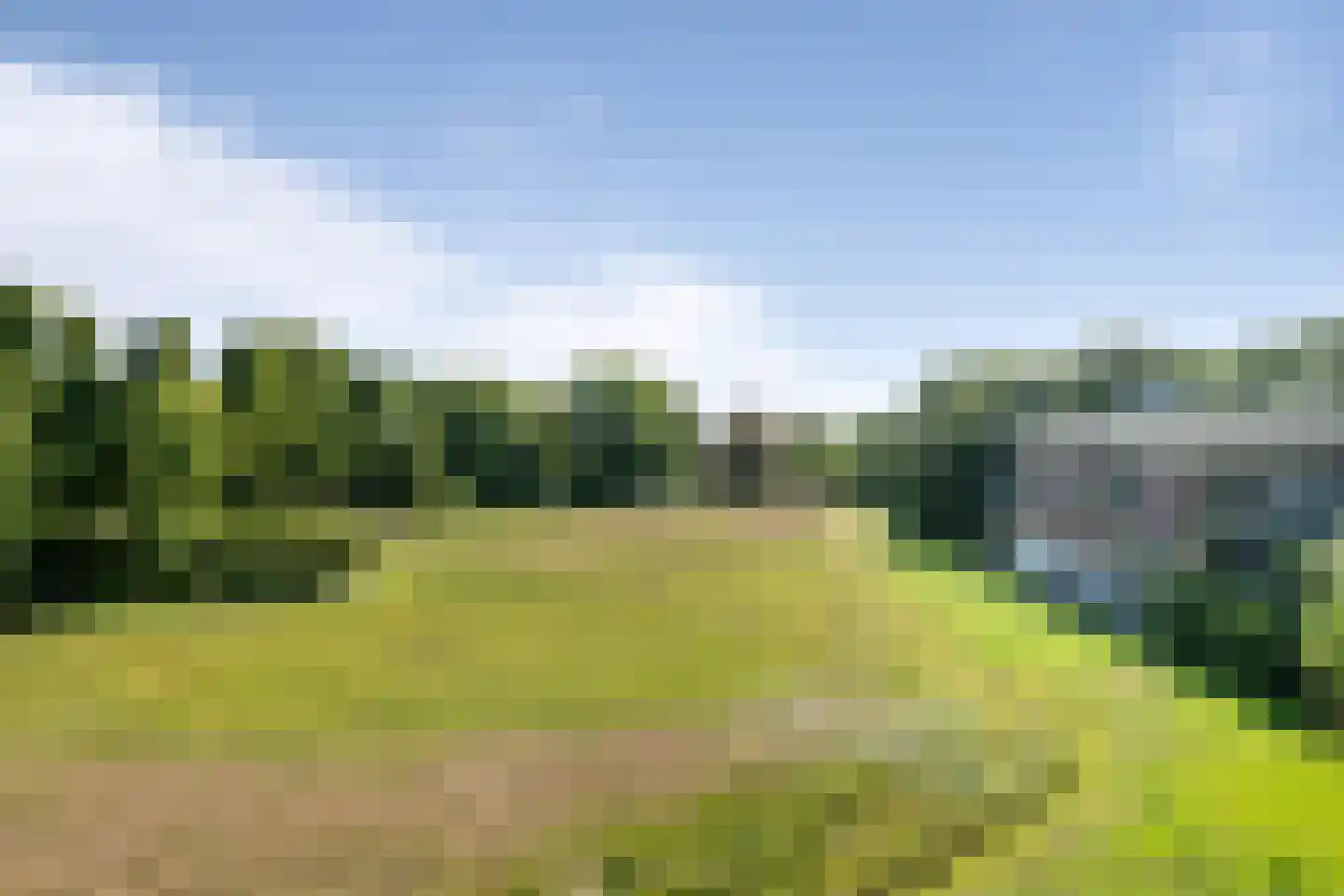 Hagenduin 28 Heemstede thumbnail 18