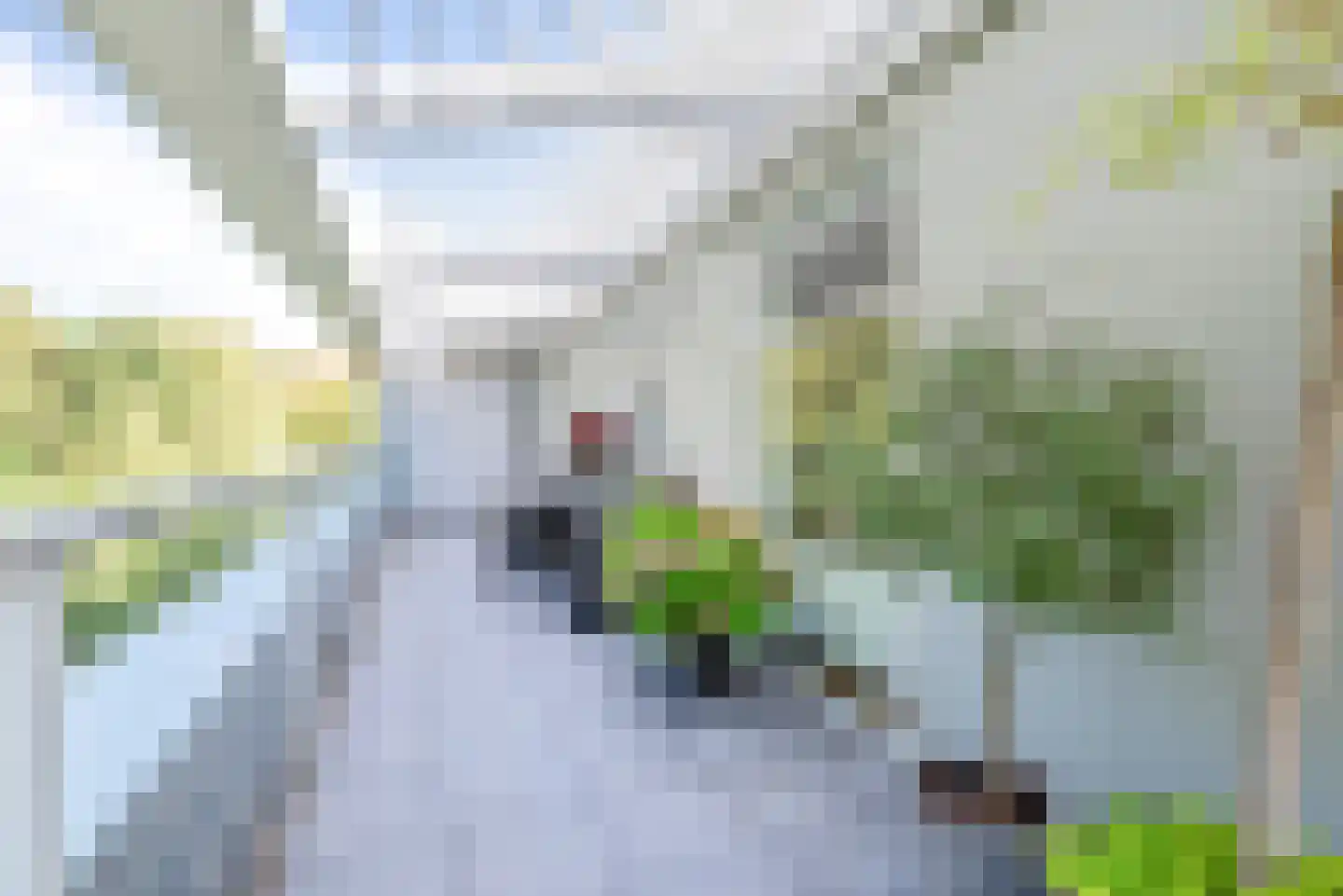 Hagenduin 28 Heemstede thumbnail 27