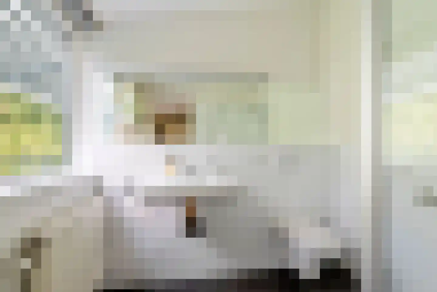 Hagenduin 28 Heemstede thumbnail 34