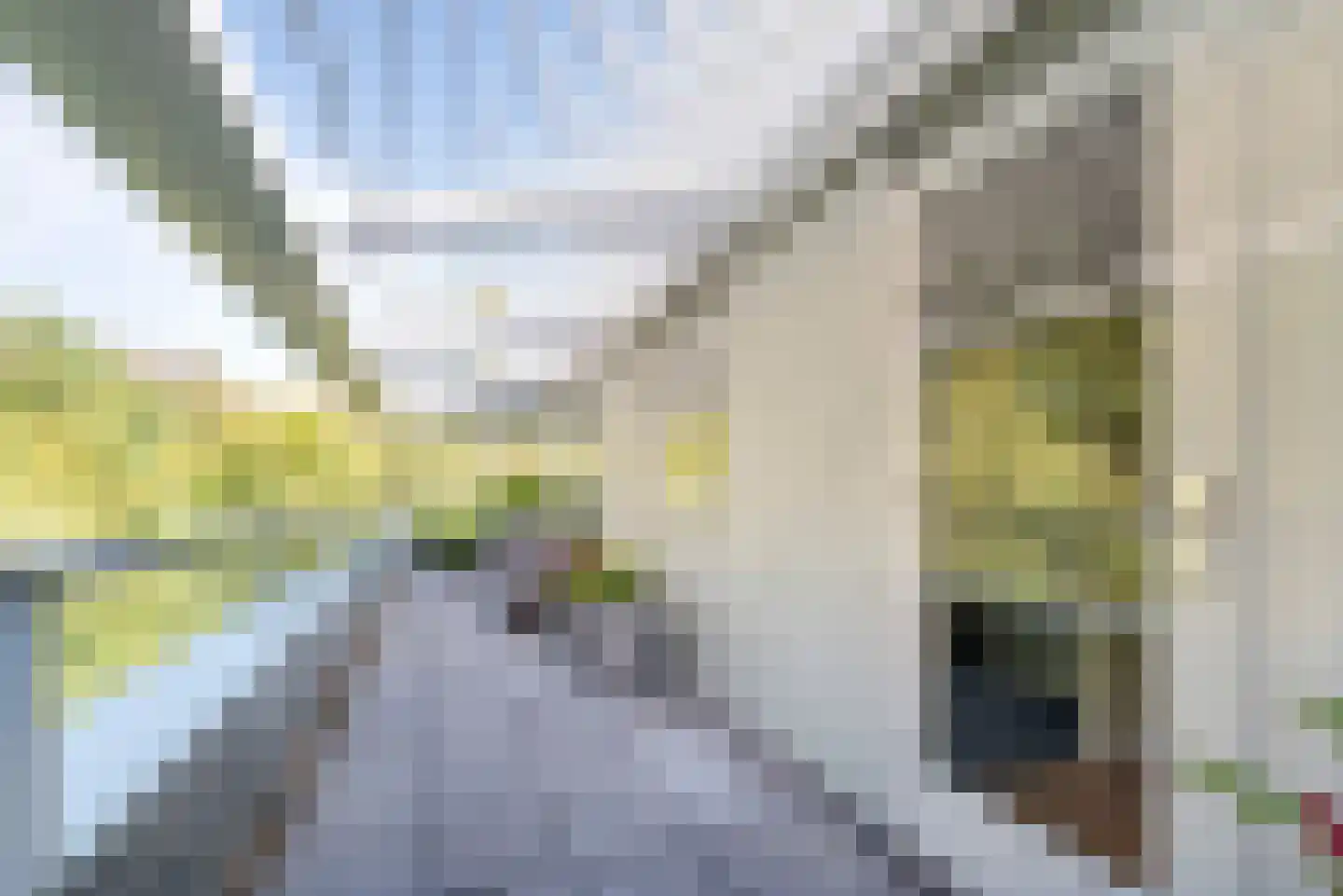 Hagenduin 28 Heemstede thumbnail 38