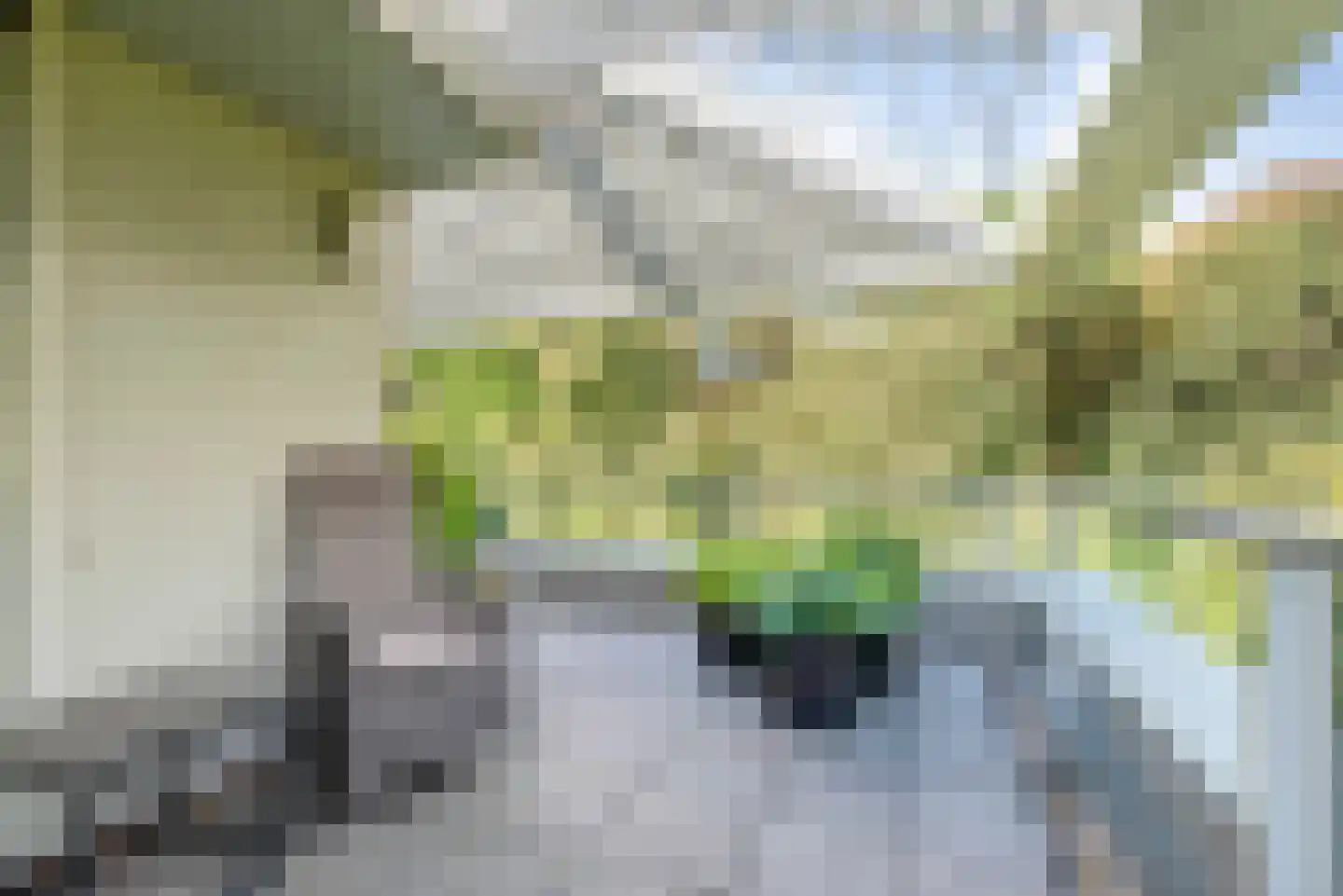 Hagenduin 28 Heemstede thumbnail 39