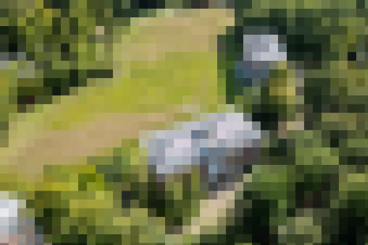Hagenduin 28 Heemstede thumbnail 58