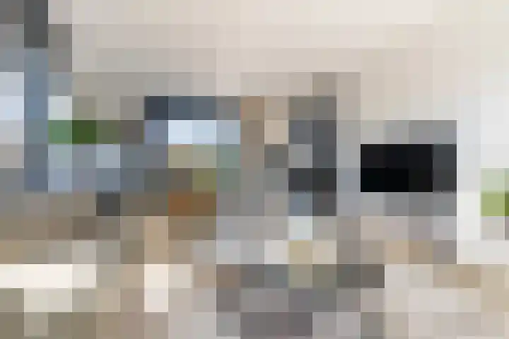 Hagenduin 32 Lelystad thumbnail 12