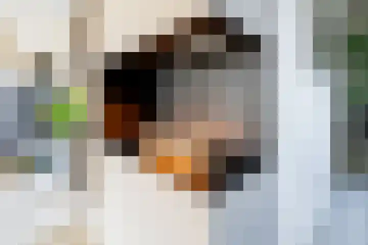 Hagenduin 32 Lelystad thumbnail 22