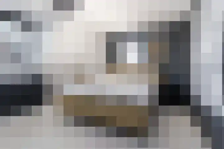 Hagenduin 32 Lelystad thumbnail 26