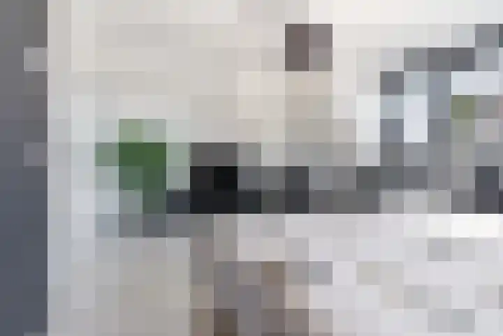 Hagenduin 32 Lelystad thumbnail 28