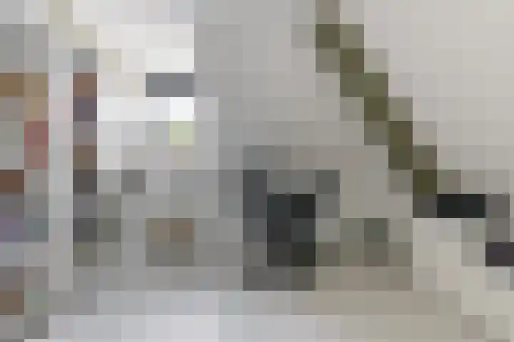 Hagenduin 32 Lelystad thumbnail 29