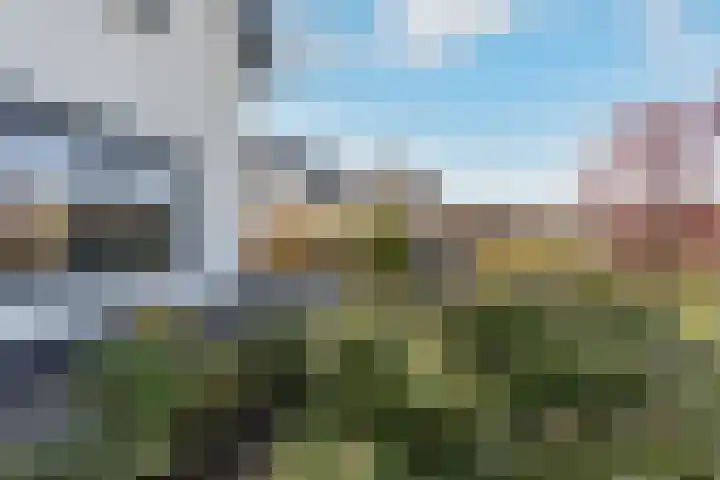 Hagenduin 32 Lelystad thumbnail 38