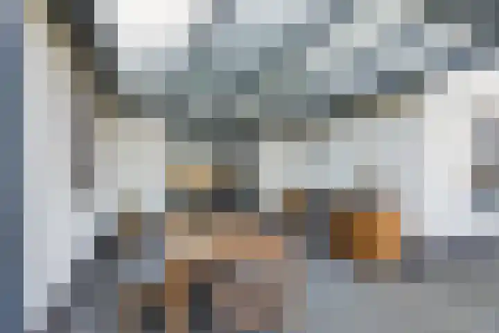 Hagenduin 32 Lelystad thumbnail 39