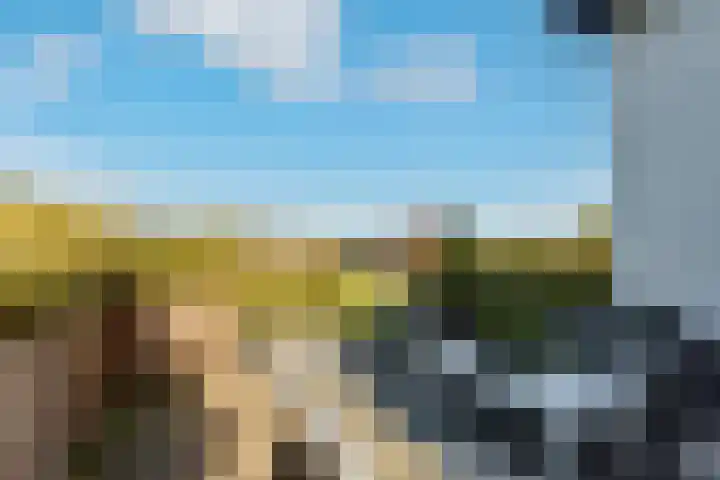 Hagenduin 32 Lelystad thumbnail 41