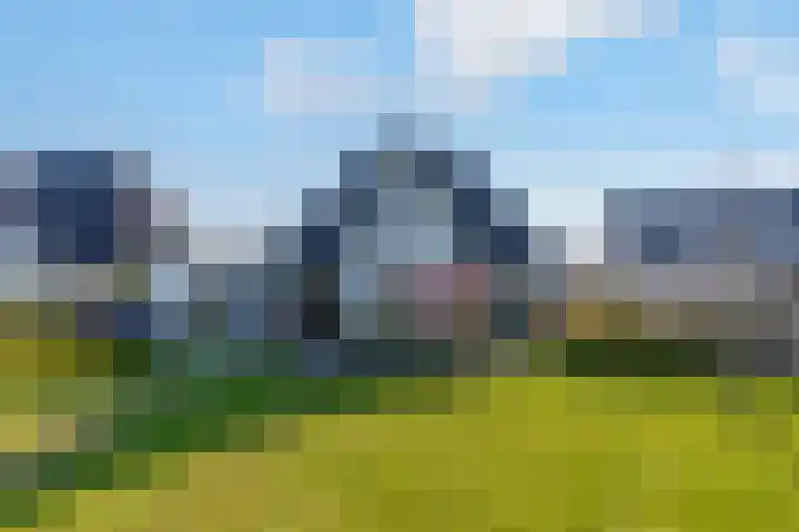 Hagenduin 32 Lelystad thumbnail 43