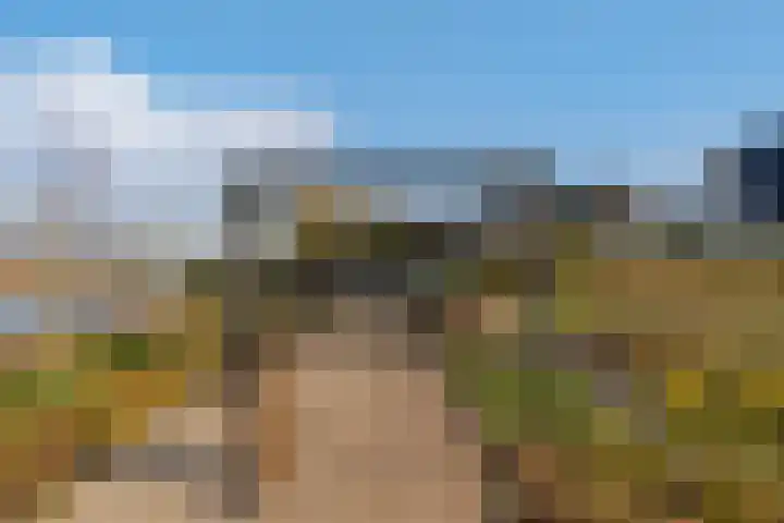 Hagenduin 32 Lelystad thumbnail 44