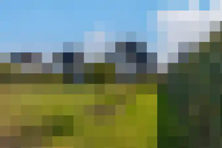 Hagenduin 32 Lelystad thumbnail 45