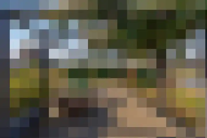 Hagenduin 32 Lelystad thumbnail 47