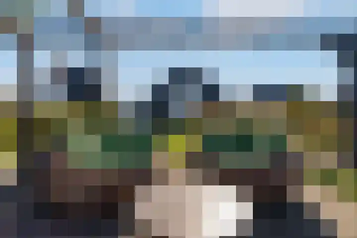 Hagenduin 32 Lelystad thumbnail 48