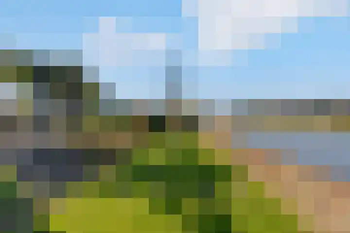 Hagenduin 32 Lelystad thumbnail 49