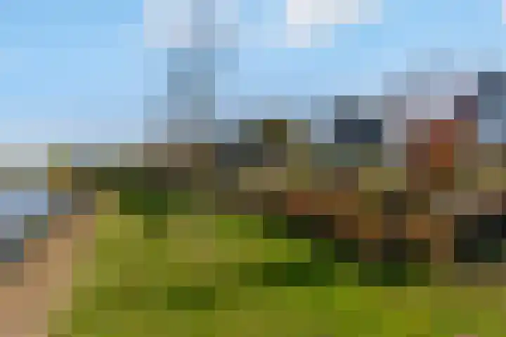 Hagenduin 32 Lelystad thumbnail 50