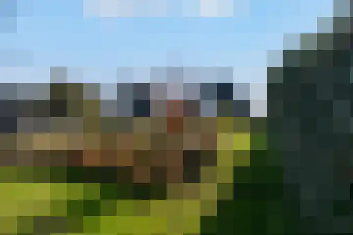 Hagenduin 32 Lelystad thumbnail 51