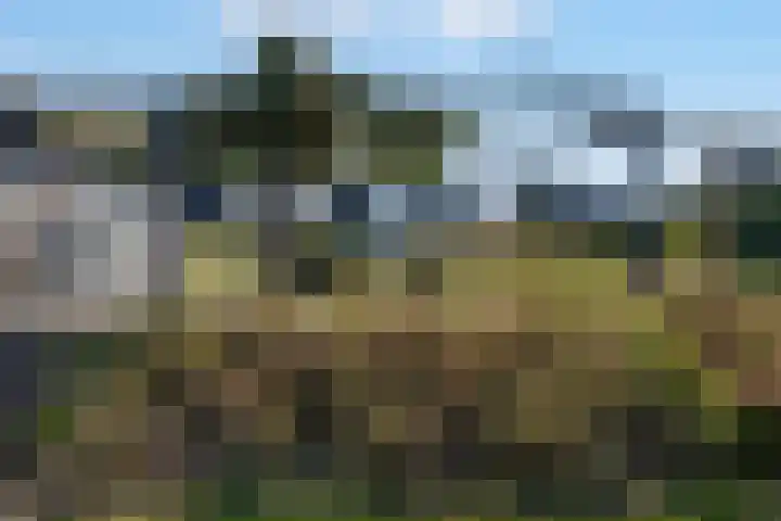 Hagenduin 32 Lelystad thumbnail 52