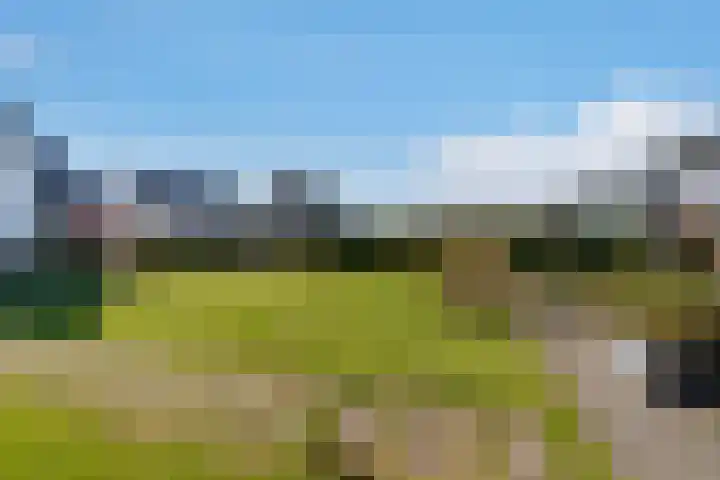 Hagenduin 32 Lelystad thumbnail 54