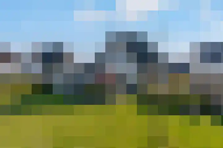 Hagenduin 32 Lelystad thumbnail 55