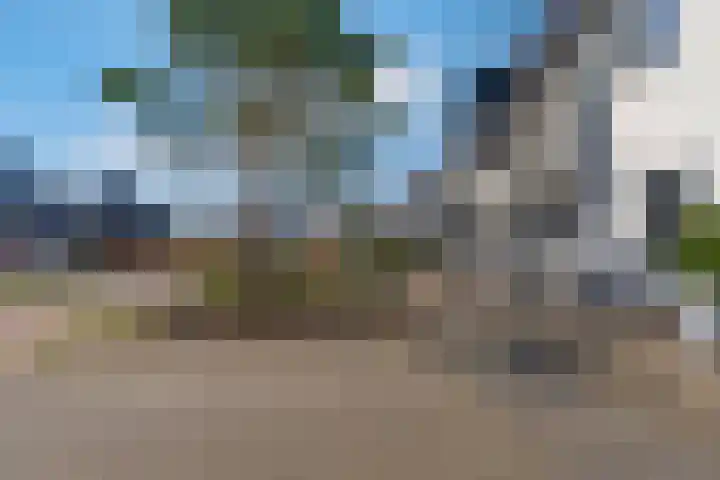 Hagenduin 32 Lelystad thumbnail 56