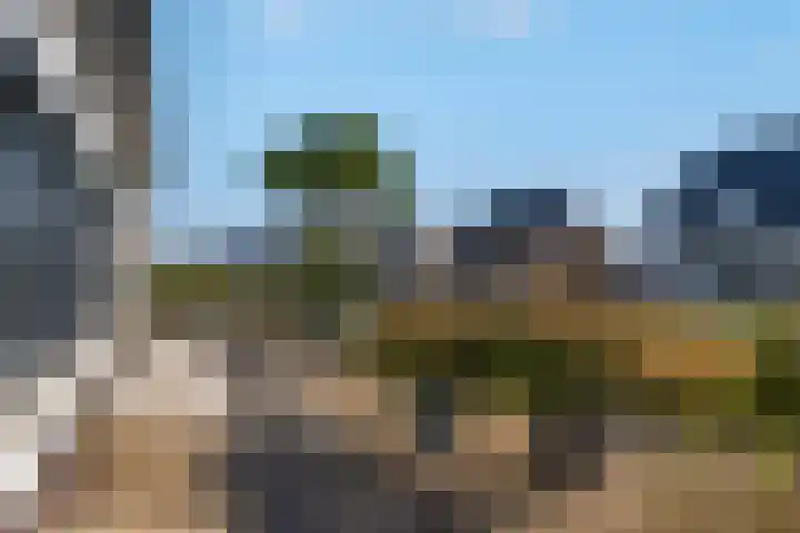 Hagenduin 32 Lelystad thumbnail 57