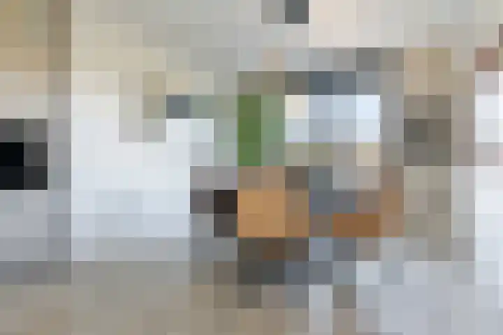 Hagenduin 32 Lelystad thumbnail 8