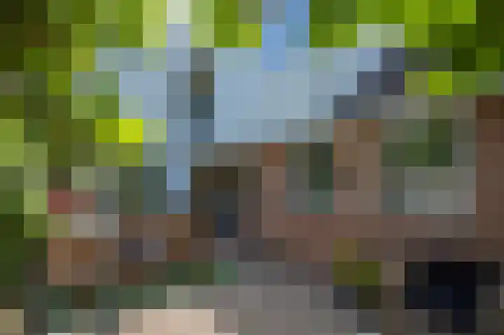 Hageneind 2 Tynaarlo thumbnail 29