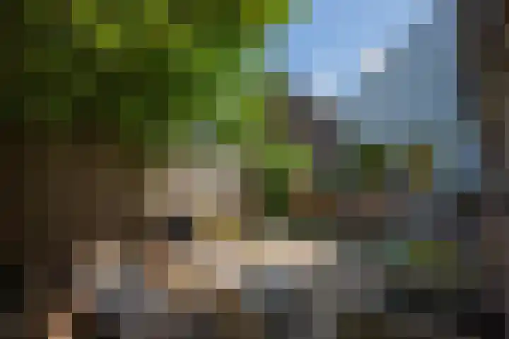Hageneind 2 Tynaarlo thumbnail 30