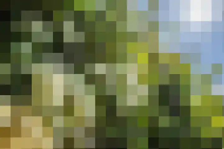 Hageneind 2 Tynaarlo thumbnail 31