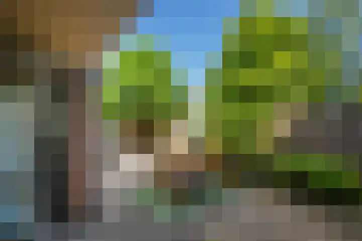 Hageneind 2 Tynaarlo thumbnail 32