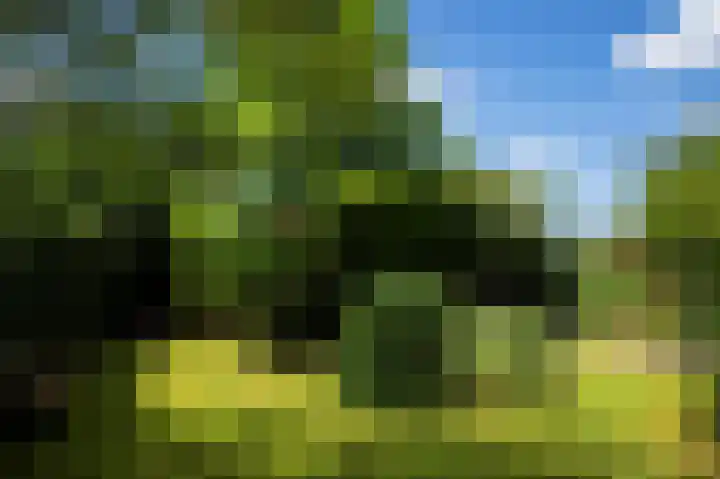 Hageneind 2 Tynaarlo thumbnail 33