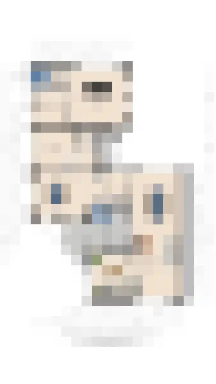 Hageneind 2 Tynaarlo thumbnail 43