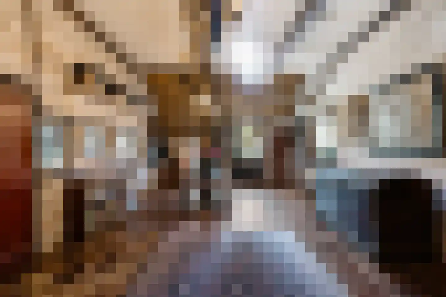 Hagenend 2 Anderen thumbnail 23