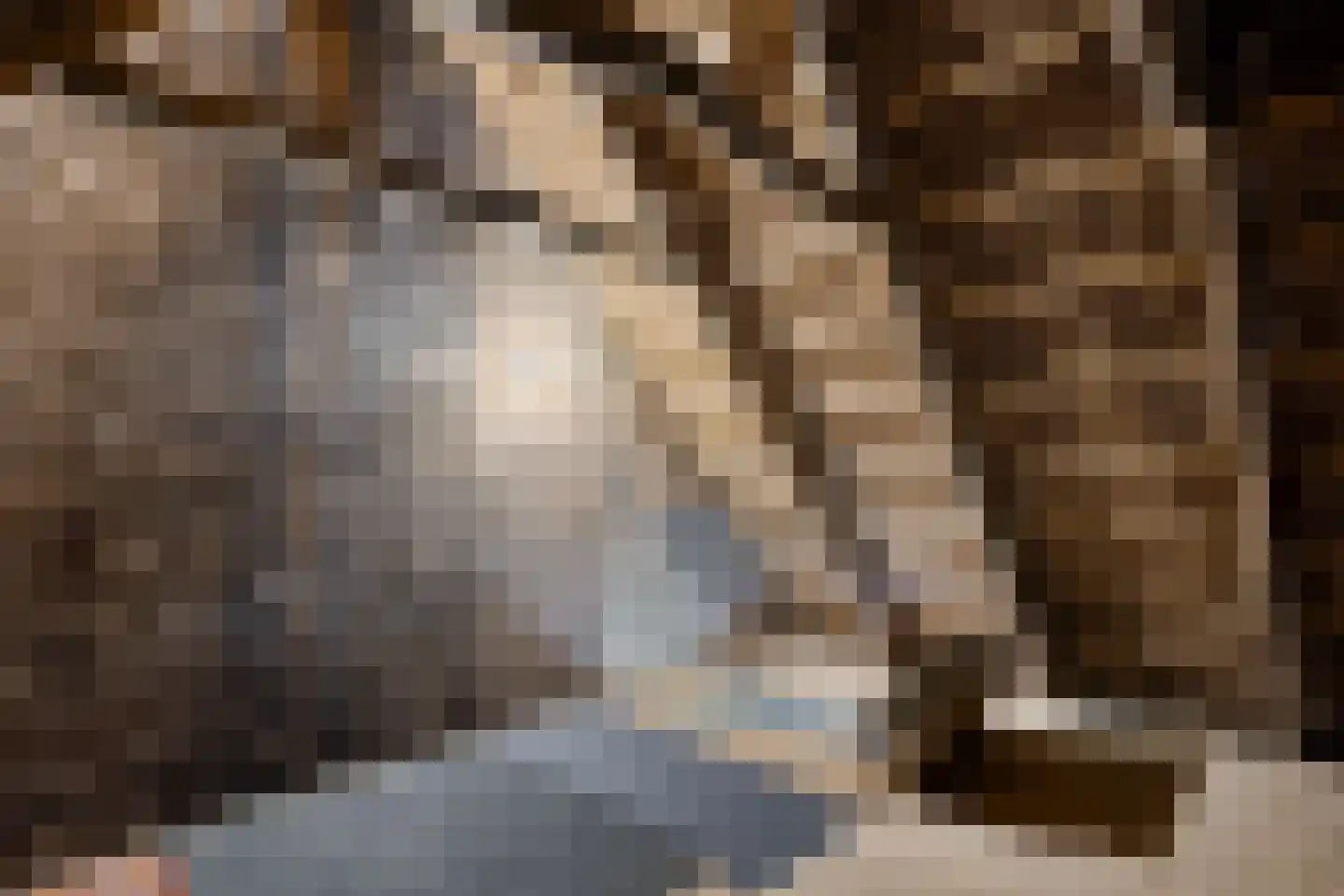Hagenend 2 Anderen thumbnail 31
