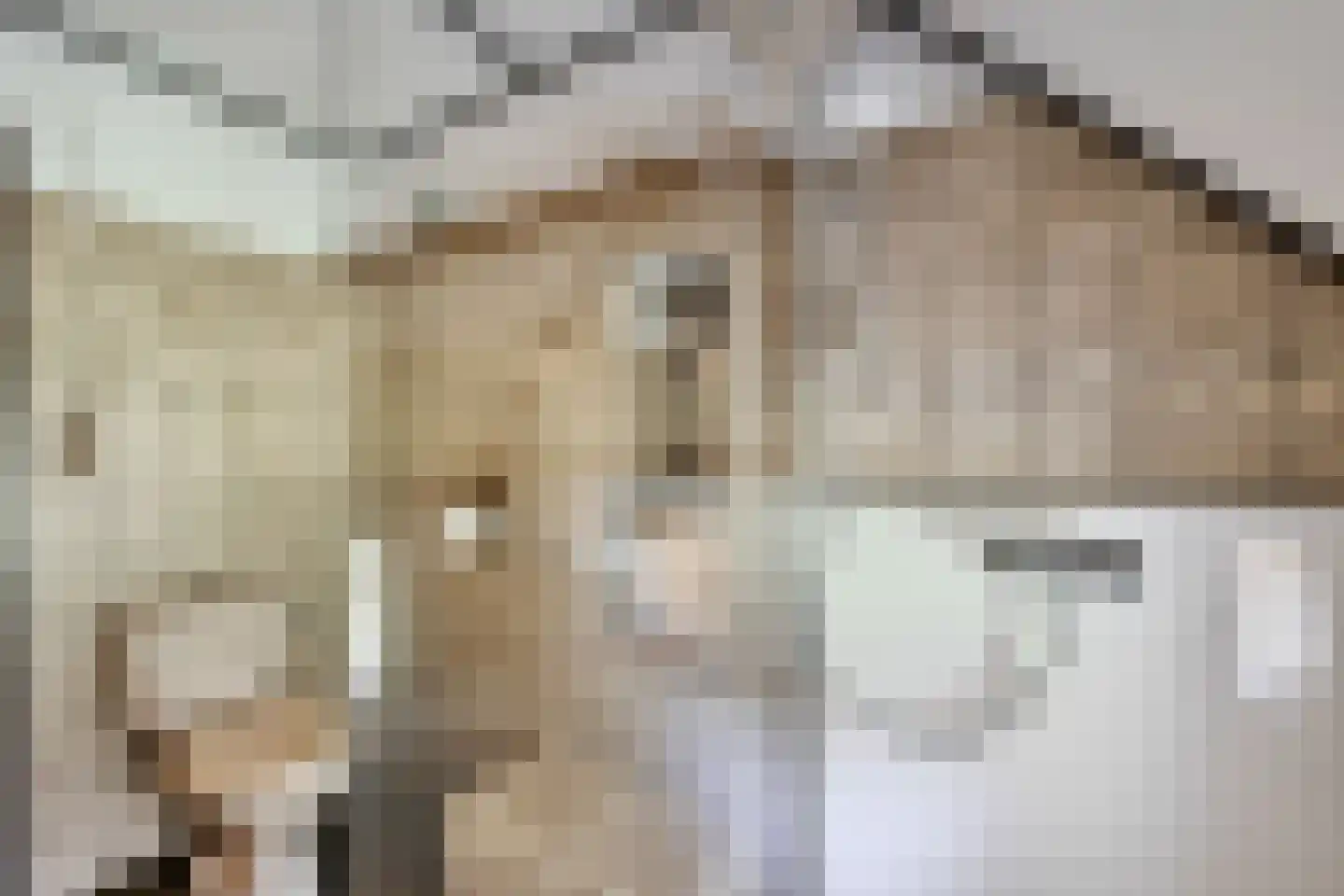 Hagenend 2 Anderen thumbnail 36