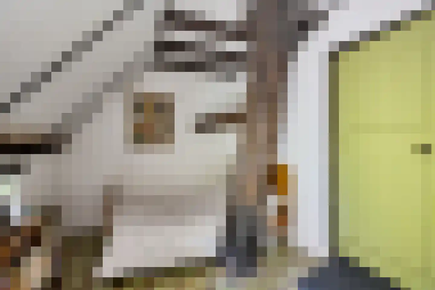 Hagenend 2 Anderen thumbnail 37