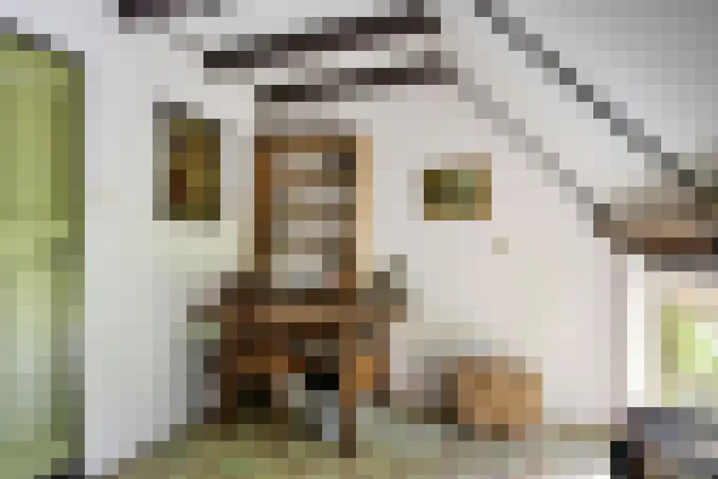 Hagenend 2 Anderen thumbnail 38