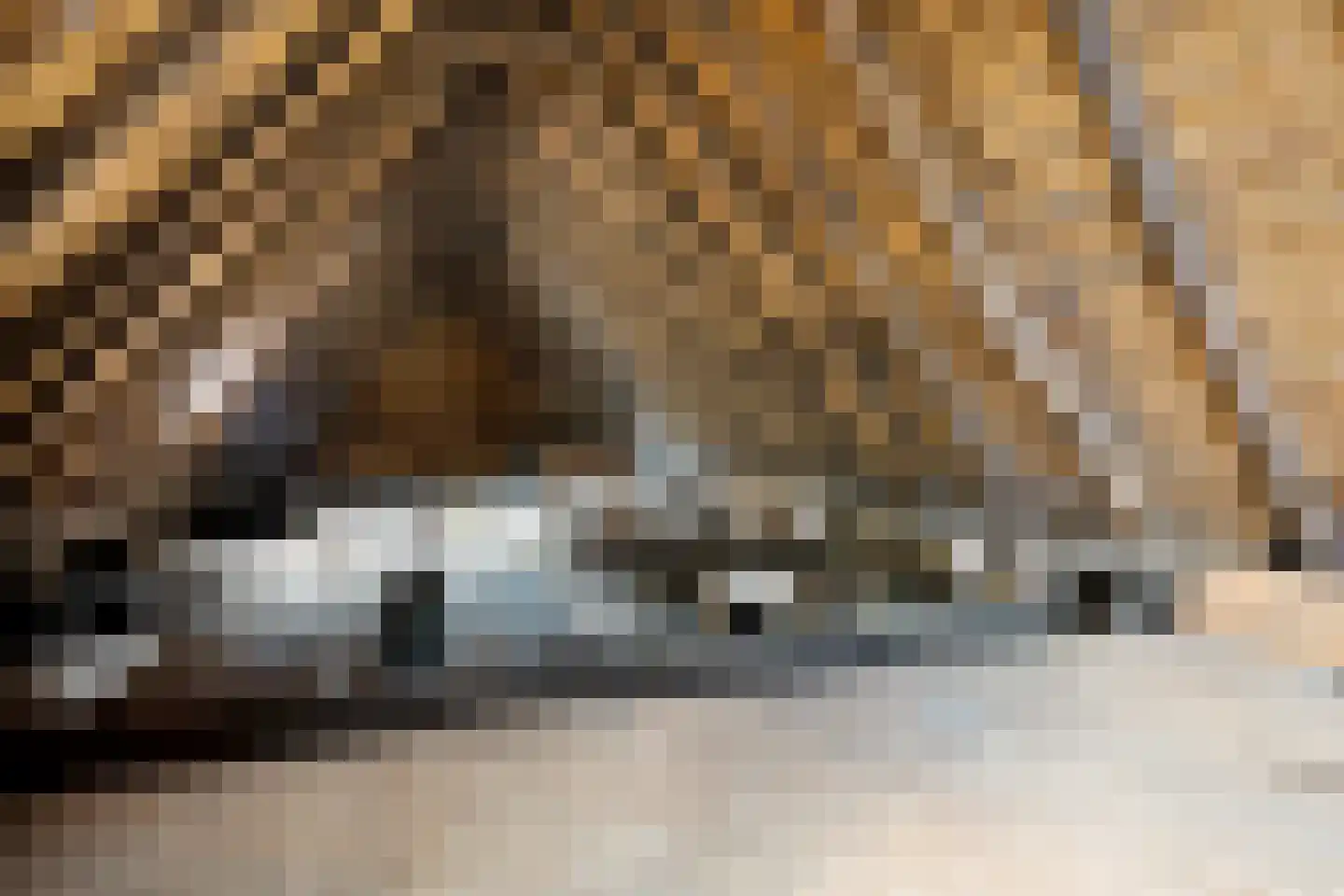 Hagenend 2 Anderen thumbnail 44