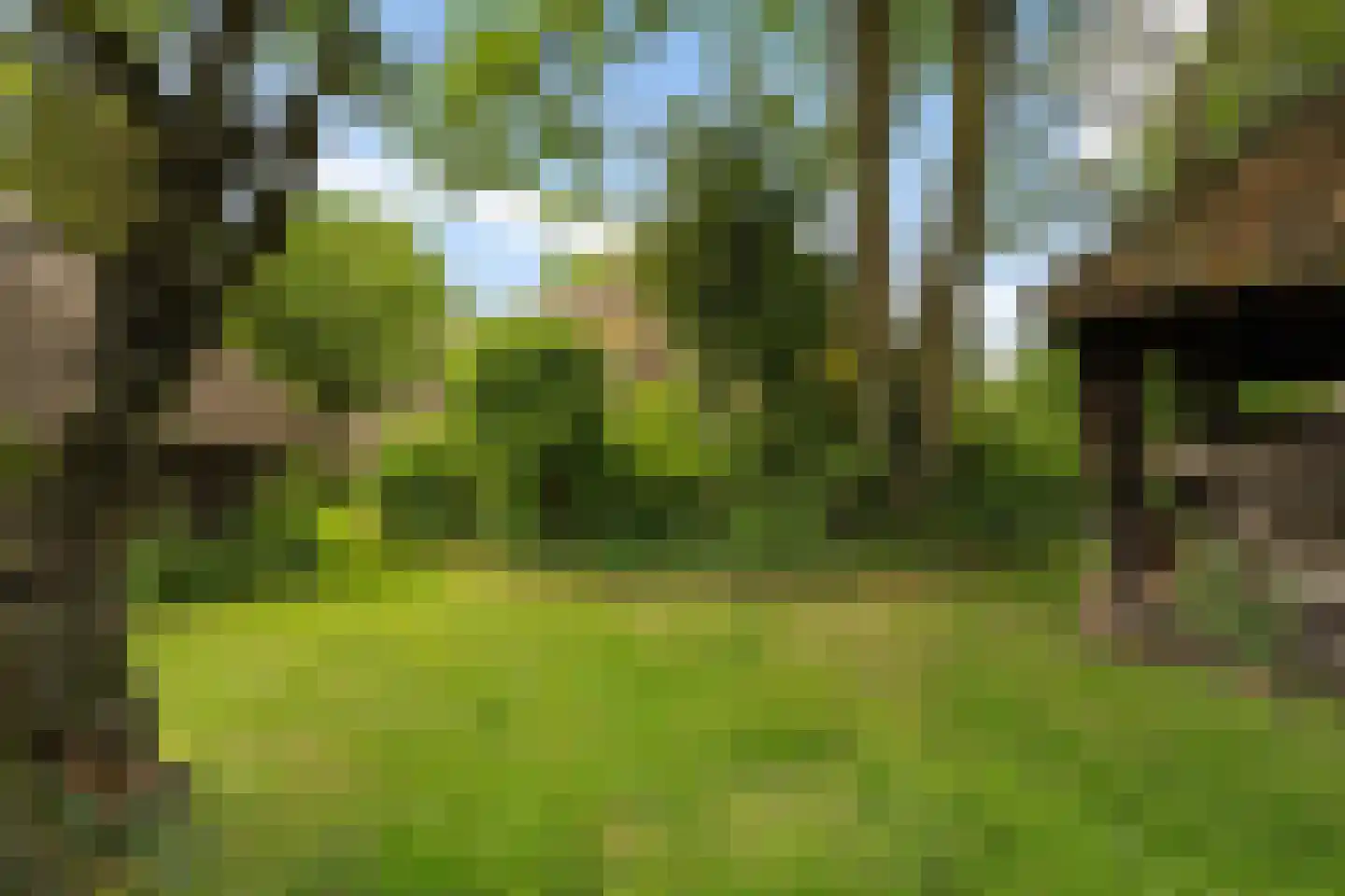 Hagenend 2 Anderen thumbnail 46